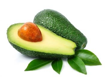 Avocado