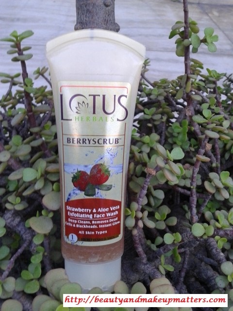 Lotus-Herbals-Berry-Scrub-Face-Wash-Review