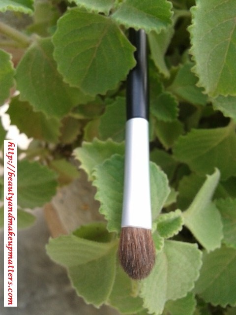 Faces-Canada-Eye-shadow-Brush-Review