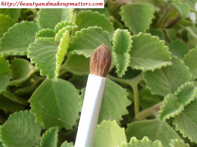 Faces-Eyeshadow-Brush-Review