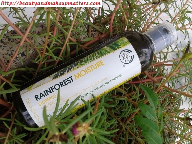 The Body Shop RainForest Moisture Shampoo Review - Beauty, Fashion,  Lifestyle blog | Beauty, Fashion, Lifestyle blog