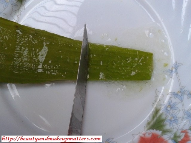 DIY-Aloe-Vera-Hair-Pack-AloeVera-Juice