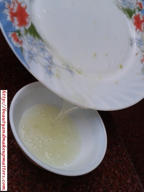 DIY-Aloe-Vera-Hair-Pack-Pour-Juice-to-Bowl