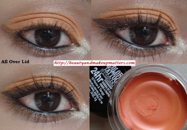 Maybelline-Tattoo-Eye-shadow-Fierce-and-Tangy-EOTD