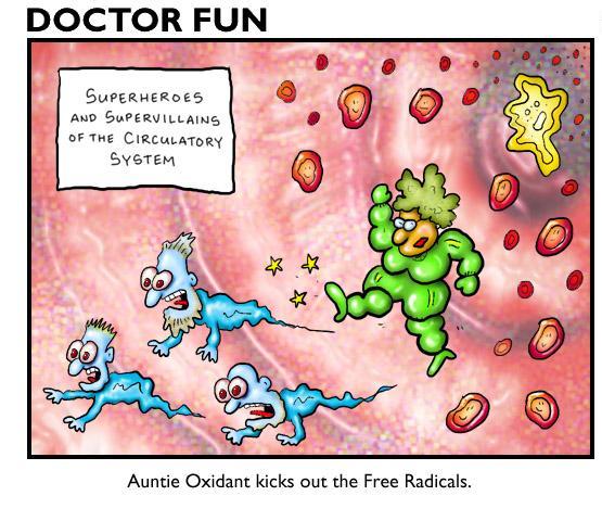 Antioxidants kicks out free radicals