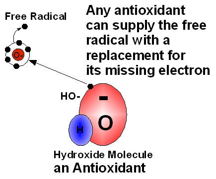 How Antioxidant protects skin from Free Radicals