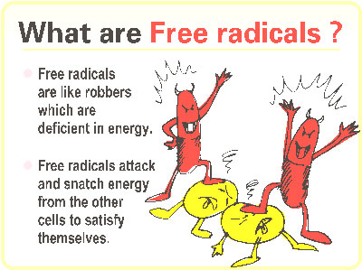 What are free radicals