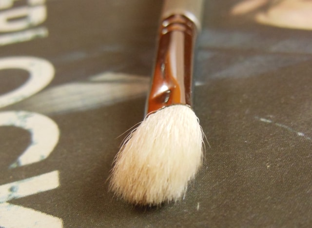 SIGMA E25 Blending Brush Review