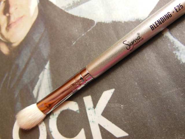 SIGMA Makeup E25 Blending Brush Review