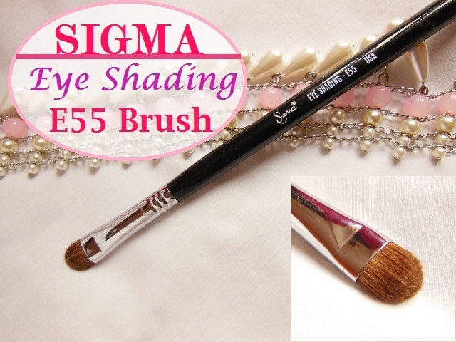 SIGMA E 55 Eye Shading Brush