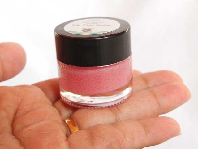 SkinCafe Lip Balm Jar