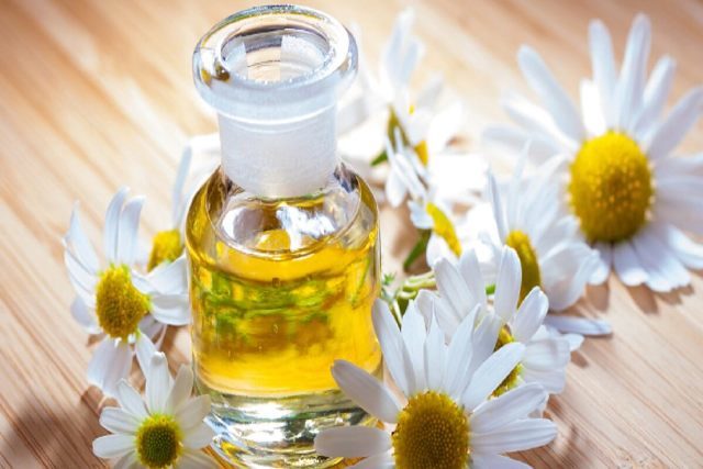 Best Essential Oils for Stress and Anxiety - Chamomile