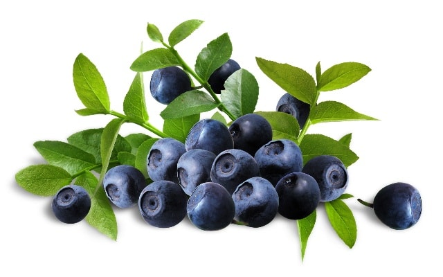 superfoods-to-lose-belly-fat-blueberries