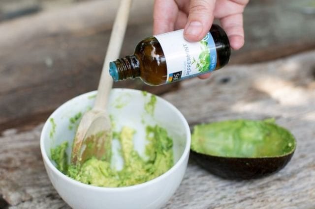 10-best-homemade-diy-hair-conditioners-for-dry-and-frizzy-hair-avocado-and-peppermint-oil